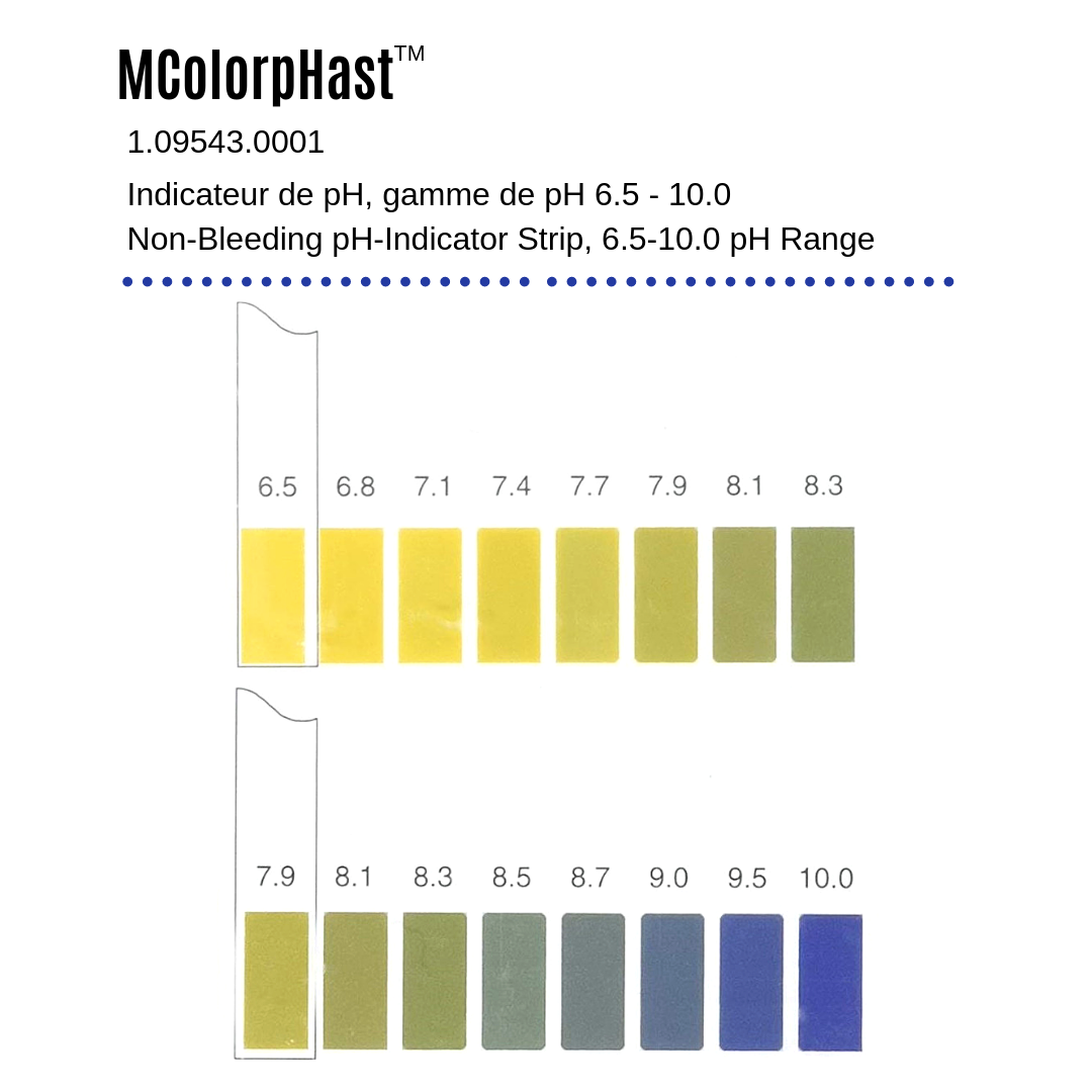 PH STRIPS / LANGUETTES DE PH